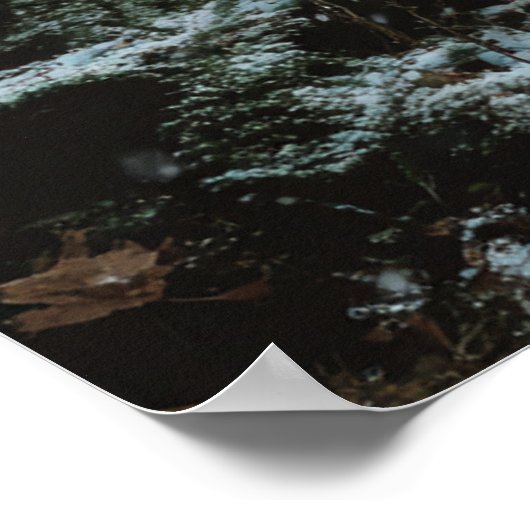 Wolf in Winter Poster (Ecke)