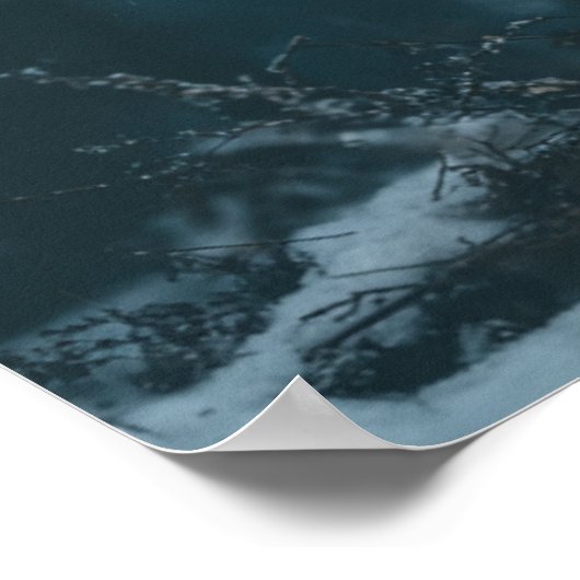 Wolf in Winter Poster (Ecke)