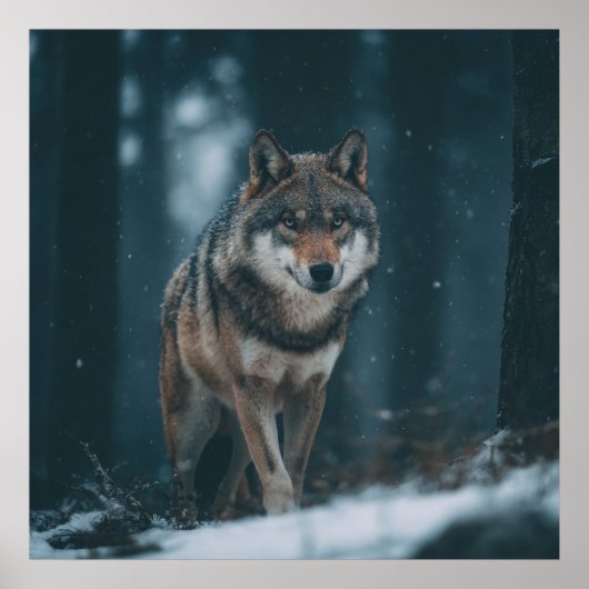 Wolf in Winter Poster (Vorne)
