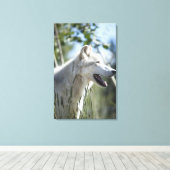 Wolf in Yellowstone. Leinwanddruck (Insitu (Holzboden))