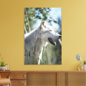Wolf in Yellowstone. Leinwanddruck (Insitu (Wohnzimmer))