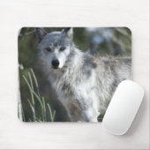 Wolf in Yellowstone Mousepad (Mit Mouse)