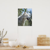 Wolf in Yellowstone. Poster (Küche)