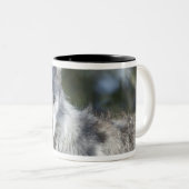 Wolf in Yellowstone Zweifarbige Tasse (VorderseiteRechts)