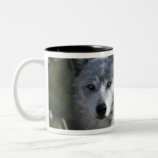 Wolf in Yellowstone Zweifarbige Tasse (Links)