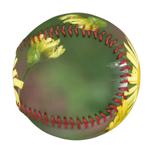 Wolf ist blind baseball (Vorne Rechts)