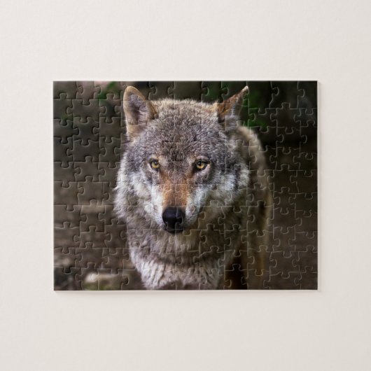 WOLF JIGSAW PUZZLE (Horizontal)