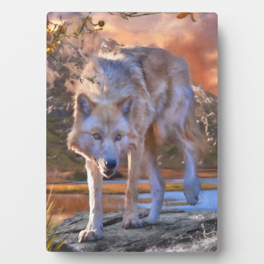 Wolf JUNTING GRUNDS Fotoplatte (Vorderseite)