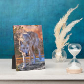 Wolf JUNTING GRUNDS Fotoplatte (Seite)