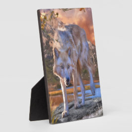 Wolf JUNTING GRUNDS Fotoplatte