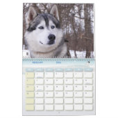 Wolf Kalender (Feb 2026)