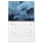 Wolf-Kalender 2010 Kalender (Feb 2026)