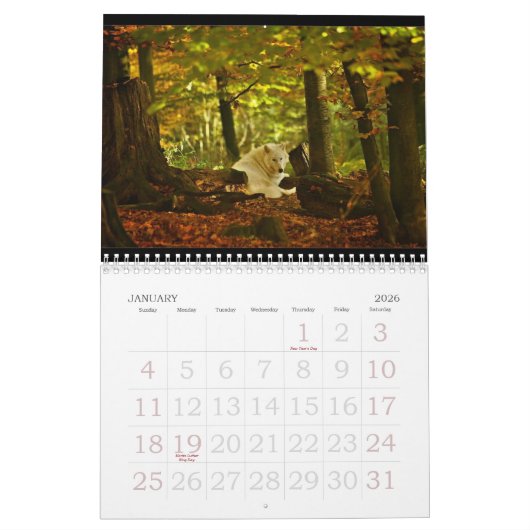Wolf-Kalender 2010 Kalender (Jan 2026)