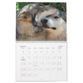 Wolf-Kalender 2010 Kalender (Mär 2026)