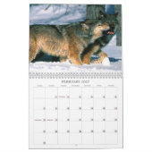 Wolf-Kalender Kalender (Feb 2027)