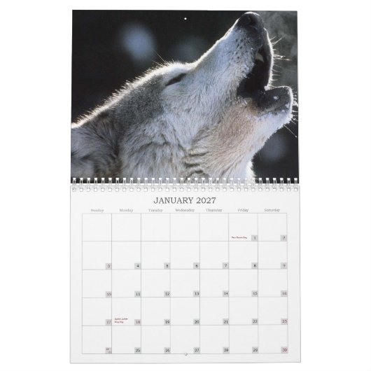 Wolf-Kalender Kalender (Jan 2027)