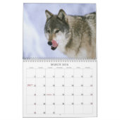 Wolf-Kalender Kalender (Mär 2026)