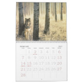 Wolf-Kalender Kalender (Feb 2027)
