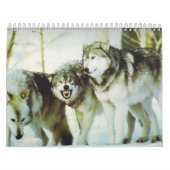 Wolf-Kalender Kalender (Titelbild)