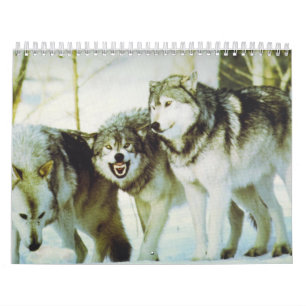 Wolf-Kalender Kalender