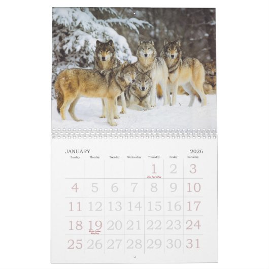 Wolf-Kalender Kalender (Jan 2026)