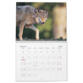 Wolf-Kalender Kalender (Mär 2026)