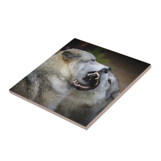 Wolf-Kampf Fliese (Seite)