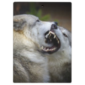 Wolf-Kampf Klemmbrett (Rückseite)