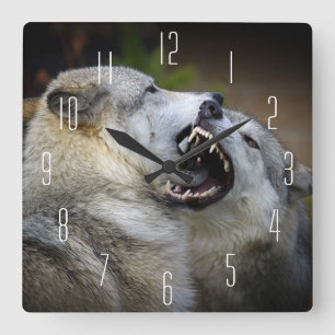 Wolf-Kampf Quadratische Wanduhr