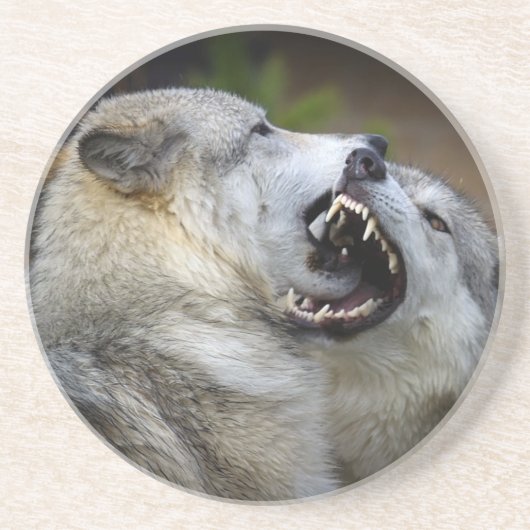 Wolf-Kampf Untersetzer (Vorne)