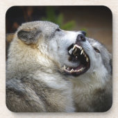 Wolf-Kampf Untersetzer (Vorderseite)