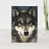 Wolf Karte (Vorderseite)