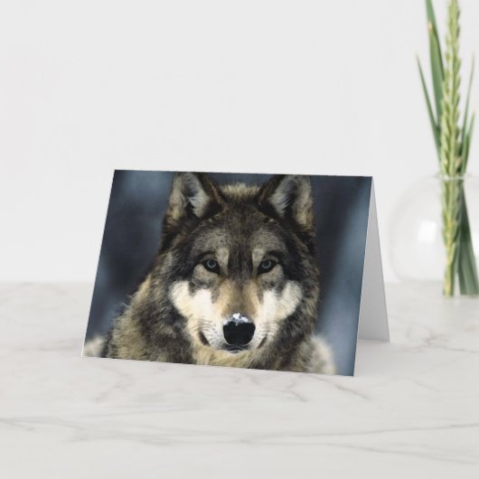 Wolf Karte (Vorderseite)