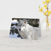 Wolf Karte (Gelbe Blume)