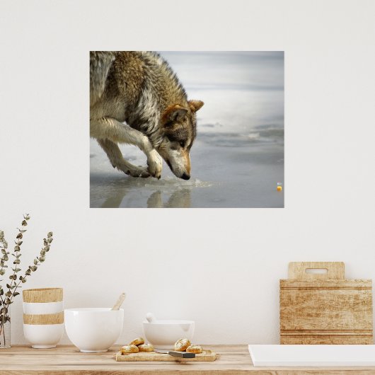 Wolf - Käseschneiden Poster (Küche)