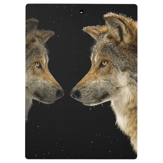 Wolf Klemmbrett (Rückseite)