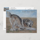 Wolf landschaftliche Wildtiere Realistische Tierku Postkarte (Vorne/Hinten)