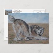 Wolf landschaftliche Wildtiere Realistische Tierku Postkarte (Vorne/Hinten)