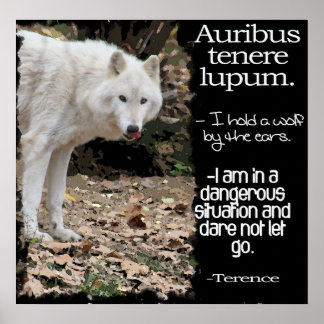 WOLF LATIN QUOTE TERRENE POSTER