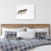 Wolf läuft im Schnee 2 Leinwanddruck (Insitu (Schlafzimmer))