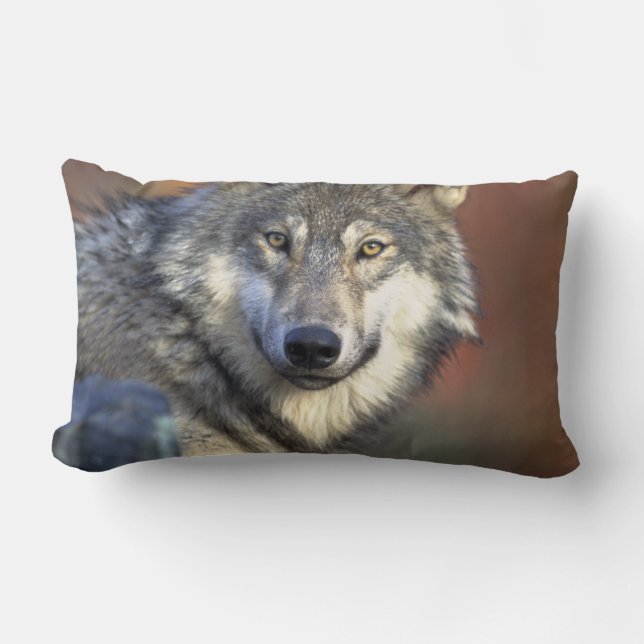 Wolf Liebhaber Kunst Lendenkissen (Vorderseite)