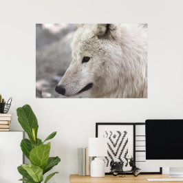 Wolf Liebhaber Kunst Poster