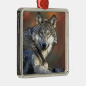 Wolf liebt Kunst Ornament Aus Metall (Rechts)