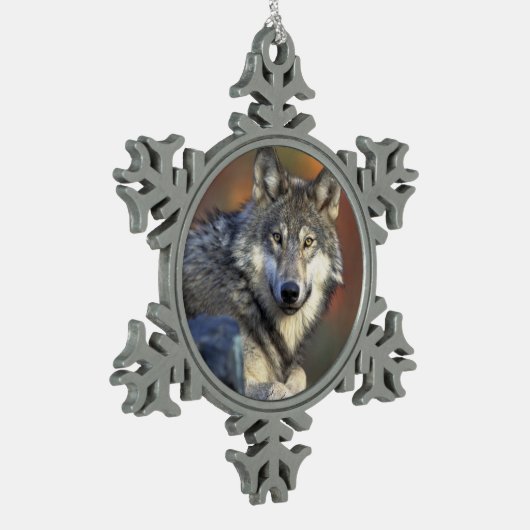 Wolf liebt Weihnachten Schneeflocken Zinn-Ornament (Links)