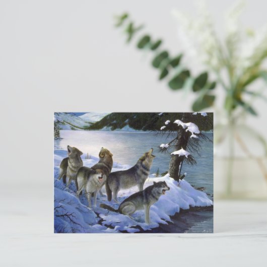 Wolf-Lied, Wolves Postkarte (Stehend Vorderseite)