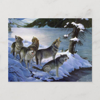Wolf-Lied, Wolves Postkarte