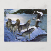 Wolf-Lied, Wolves Postkarte (Vorderseite)