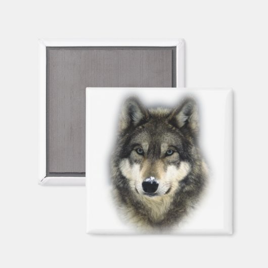 Wolf Magnet (Vorderseite/Rückseite)