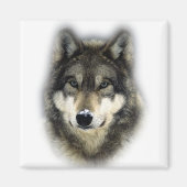 Wolf Magnet (Vorne)