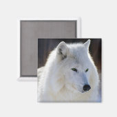 Wolf Magnet (Vorderseite/Rückseite)